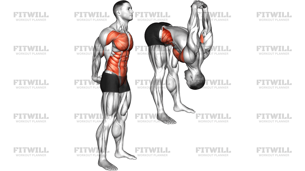 Forward Bend Back Stretch