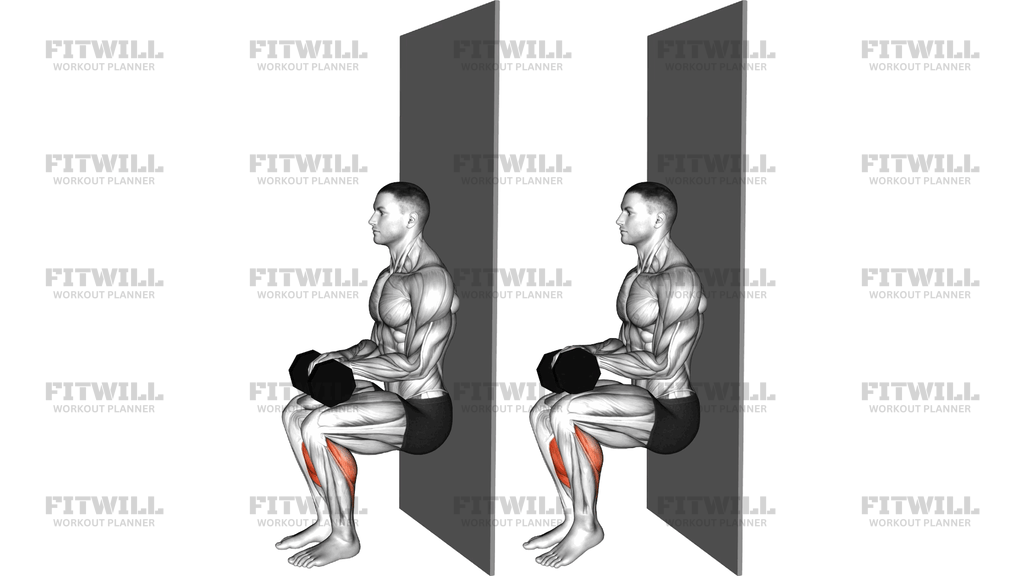 Chair Sit Alternate Heel Raise Agains Wall