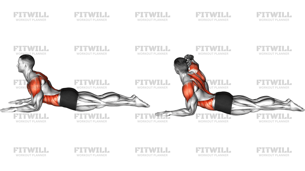 Sphinx Pose Opening