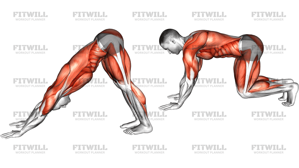 Downward Dog Squat