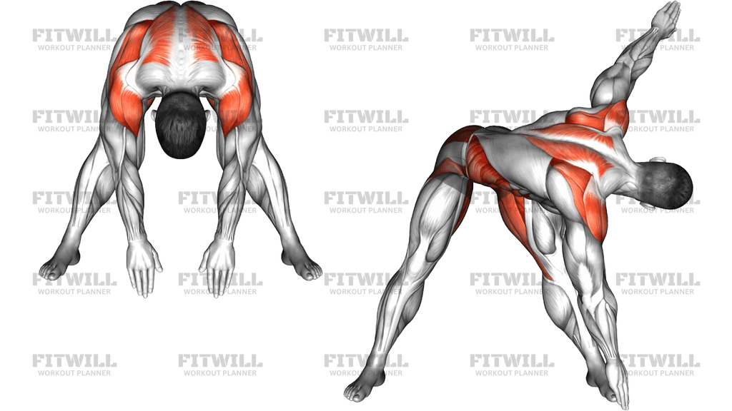 Wide Forward Fold Twist