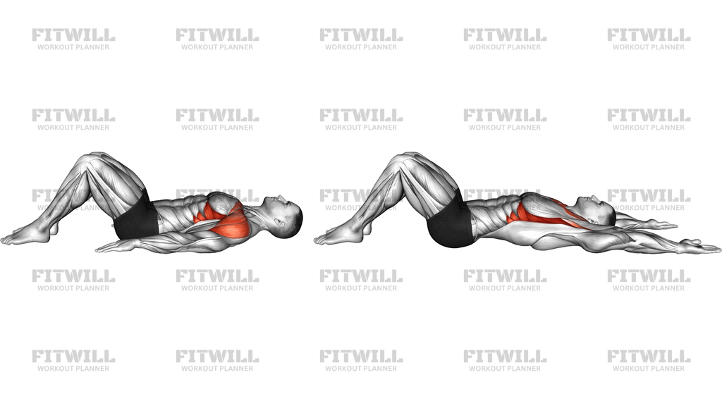 Lying Front Raise