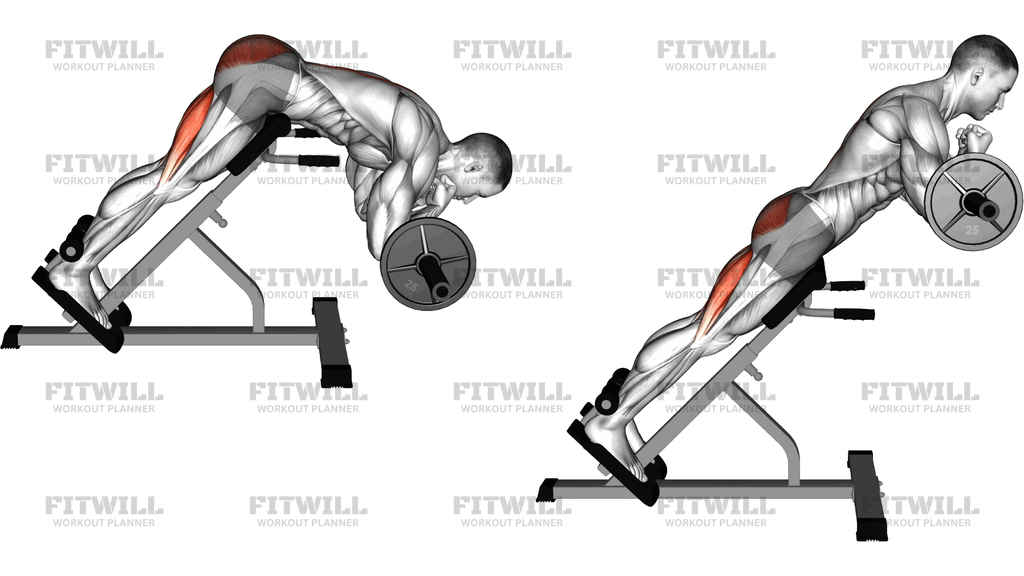 Barbell Zercher Back Extension