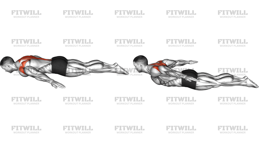 Superman Back Raise
