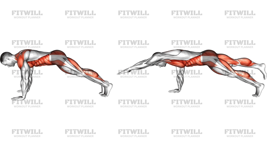 Bird Dog Plank