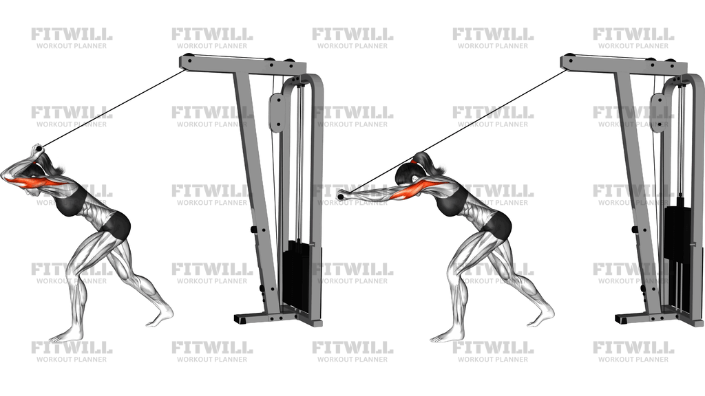 Cable High Pulley Straight Bar Overhead Triceps Ex