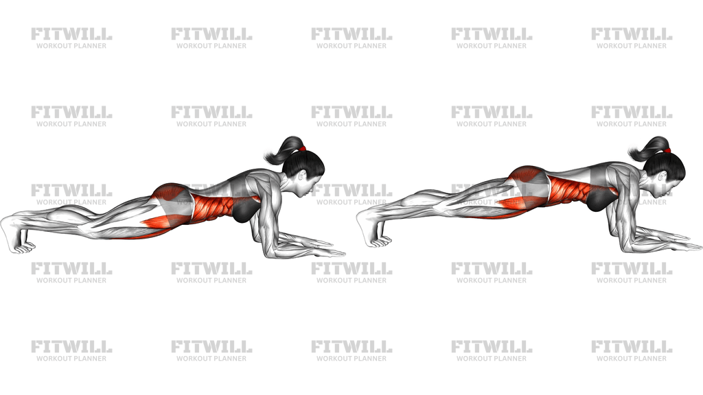 Front Elbow Plank