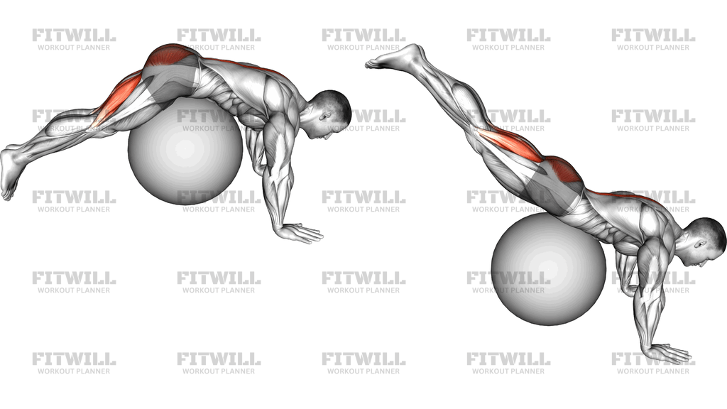 Reverse Hyperextension On Stability Ball