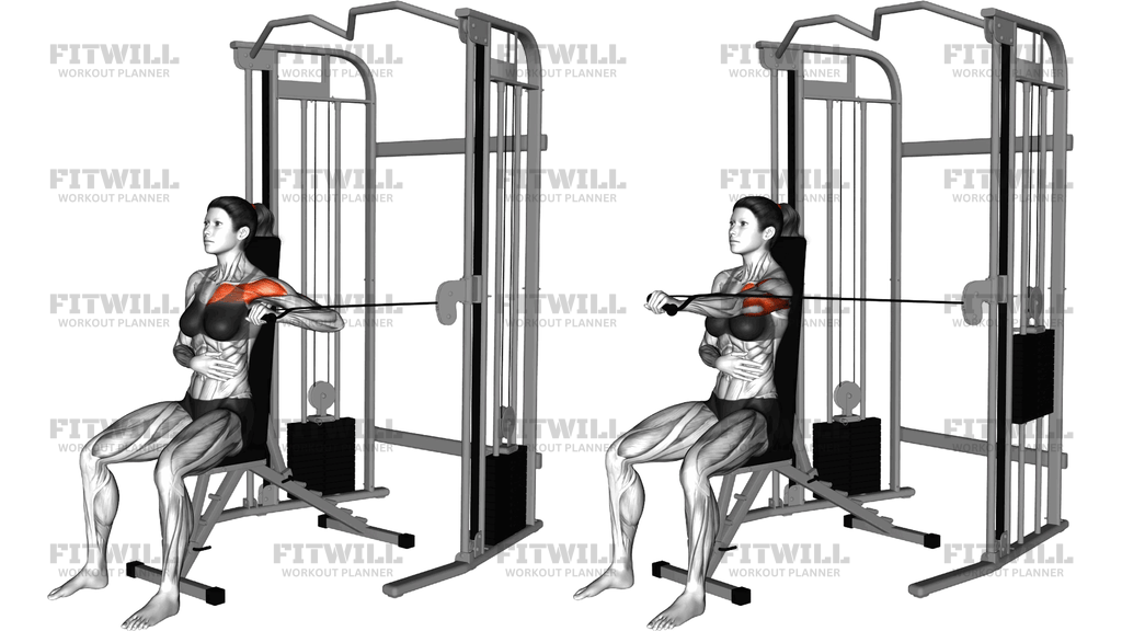 Cable Seated Single Arm Chest Press