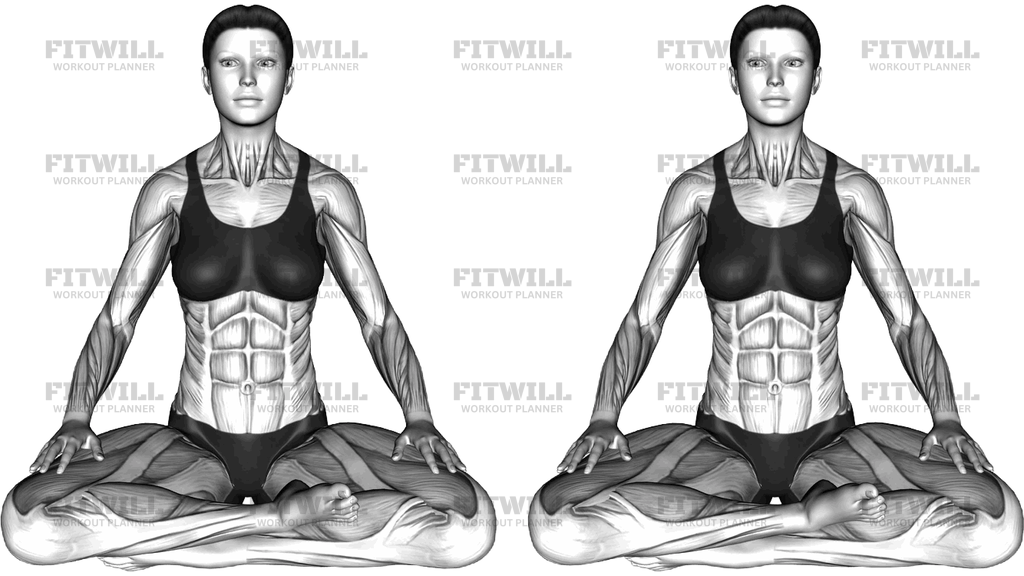 Sitting Lotus Rest Pose