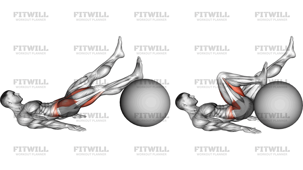 Curl A Una Gamba Con Anca Estesa Sulla Fitball