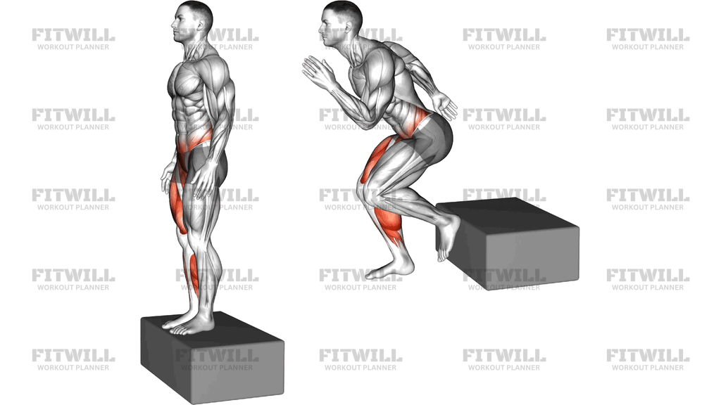 Box Drop To Single Leg Land