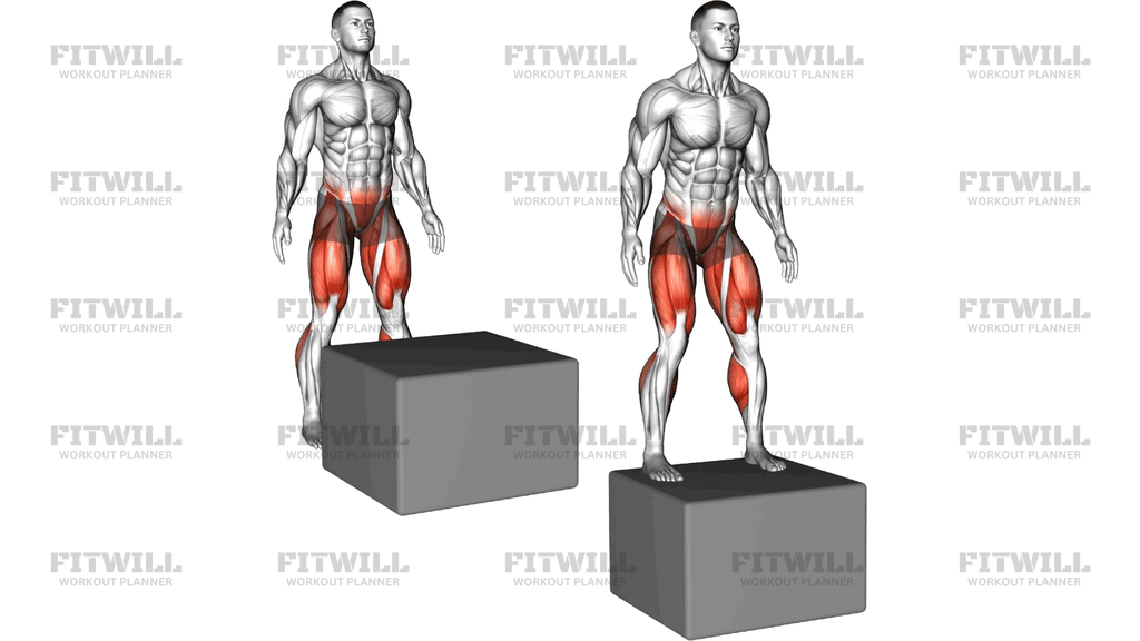 Box Drop Split Stance Land