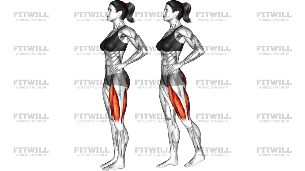 Standing Hip Extension To Leg Lift