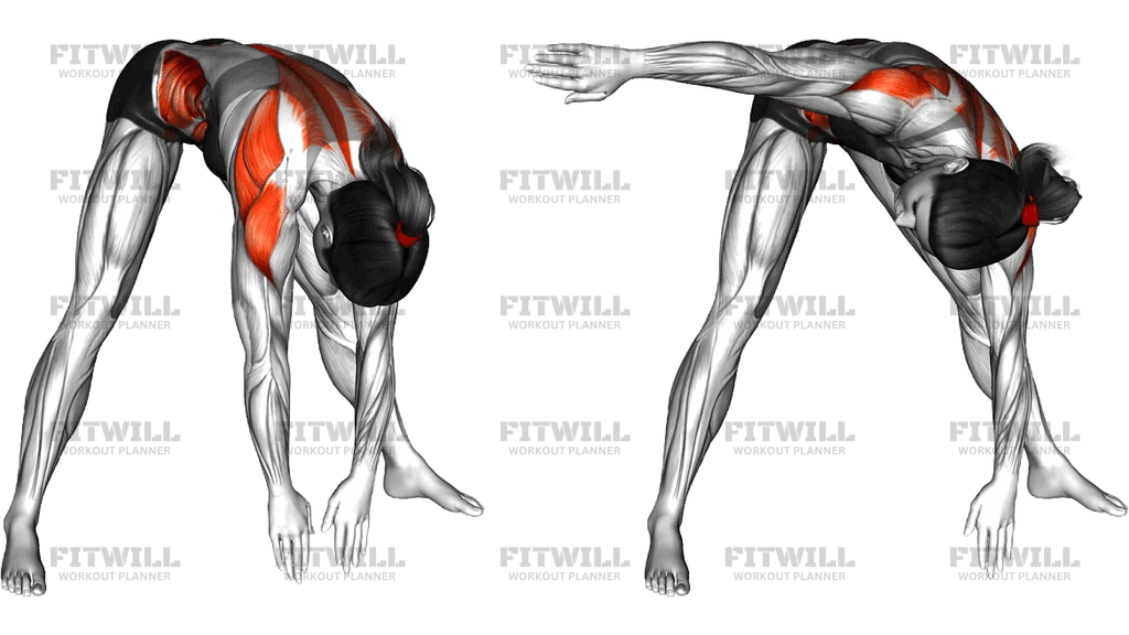 Wide Stance Thoracic Rotation