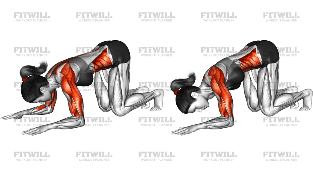 Kneeling Elbow Mobilisation