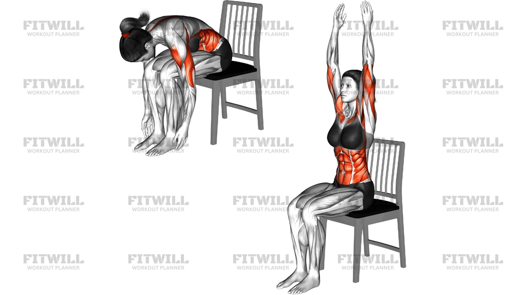 Sitting Shoulder Press Toe Touch On A Chair