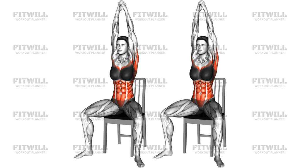 Sitting Front Slam On A Chair