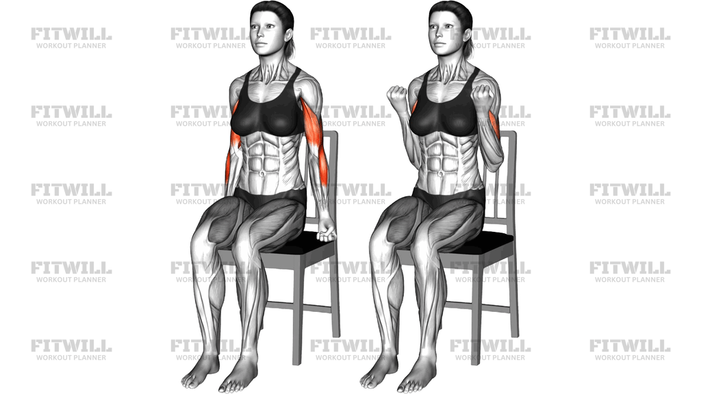 Sitting Biceps Curl On A Chair