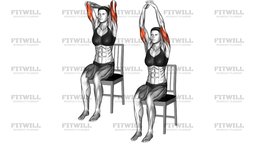 Sitting Triceps Extension On A Chair