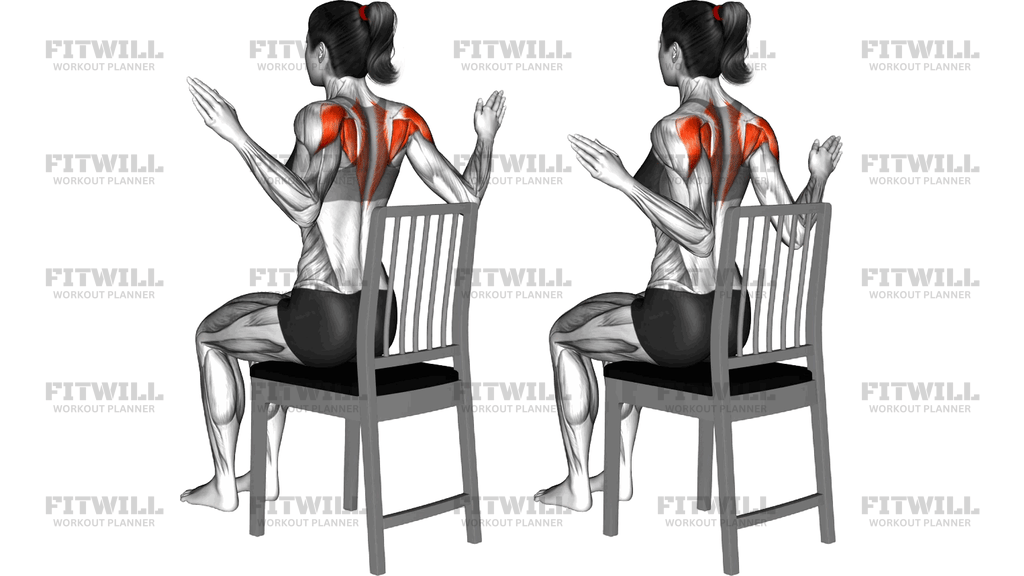 Sitting Back Squeeze Pulse On A Chair