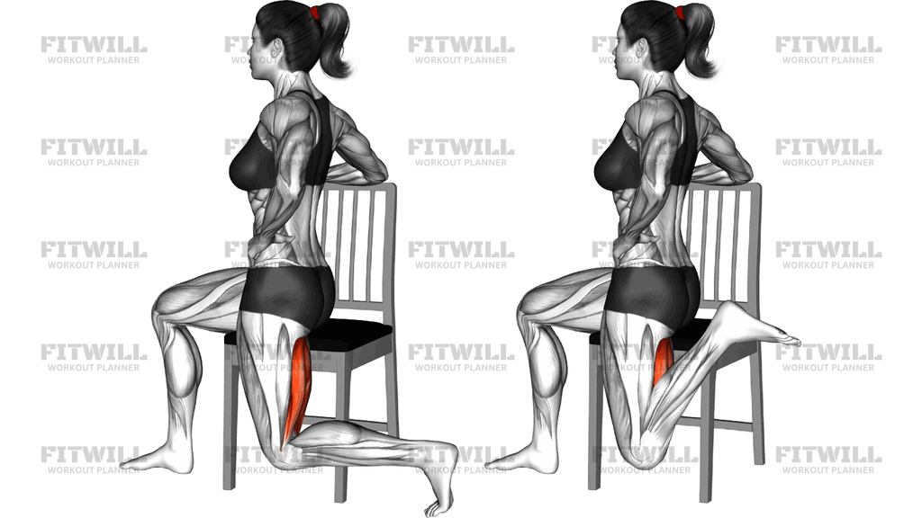 Sitting Hamstring Curl On A Chair