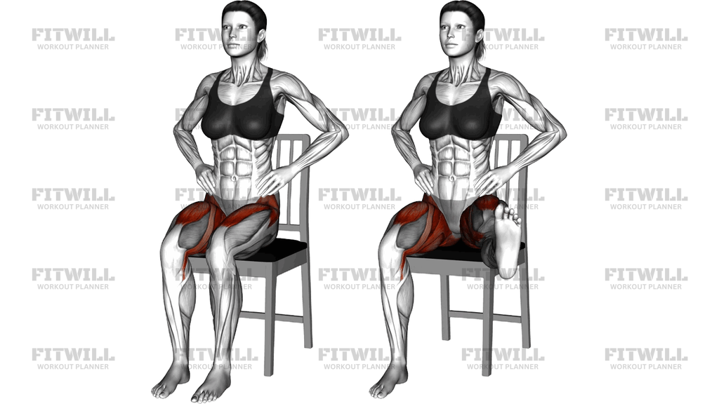 Sitting Alternating Leg Raise And Abductor On A Ch