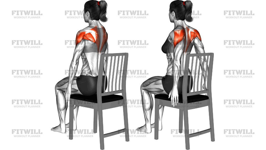 Sitting Pulse Row On A Chair