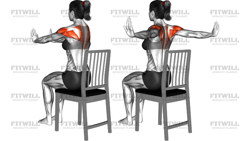 Sitting Straight Arm Back Squeeze On A Chair