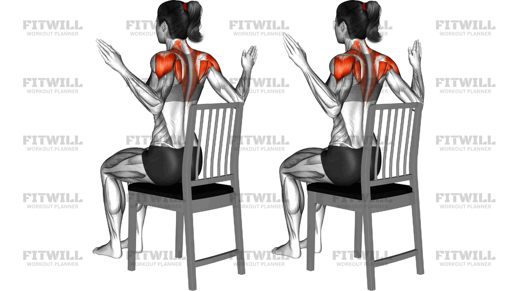 Sitting Side Circle Draw On A Chair