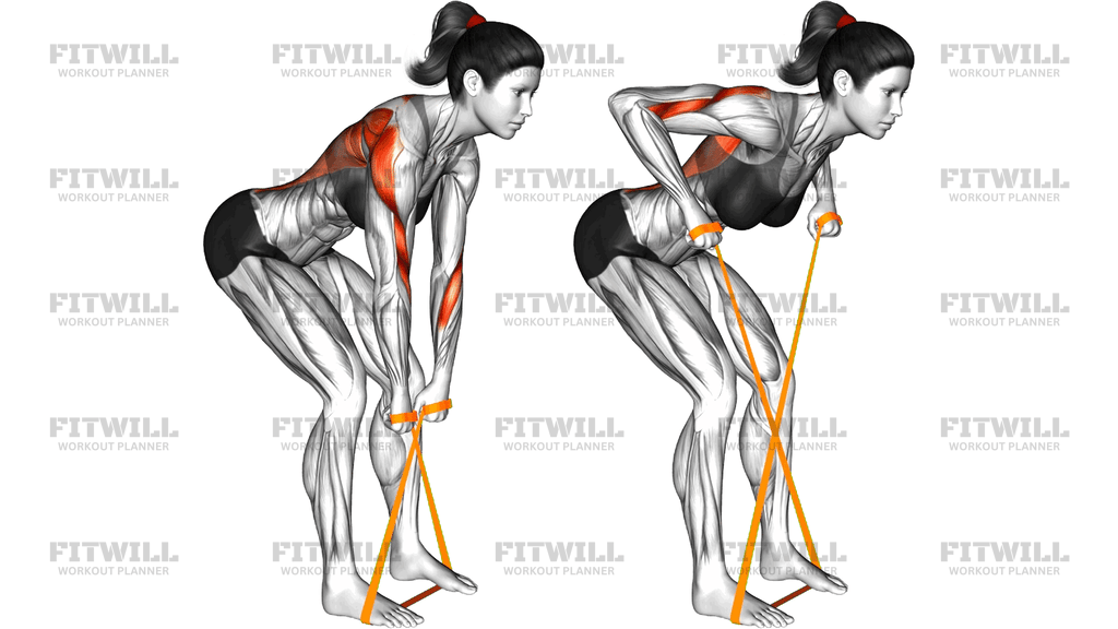 Resistance Band Bent Over Row (Version 2)