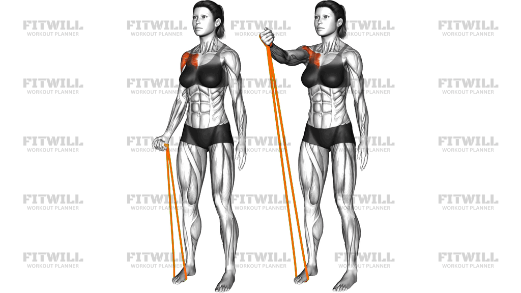 Resistance Band Single Arm Fly