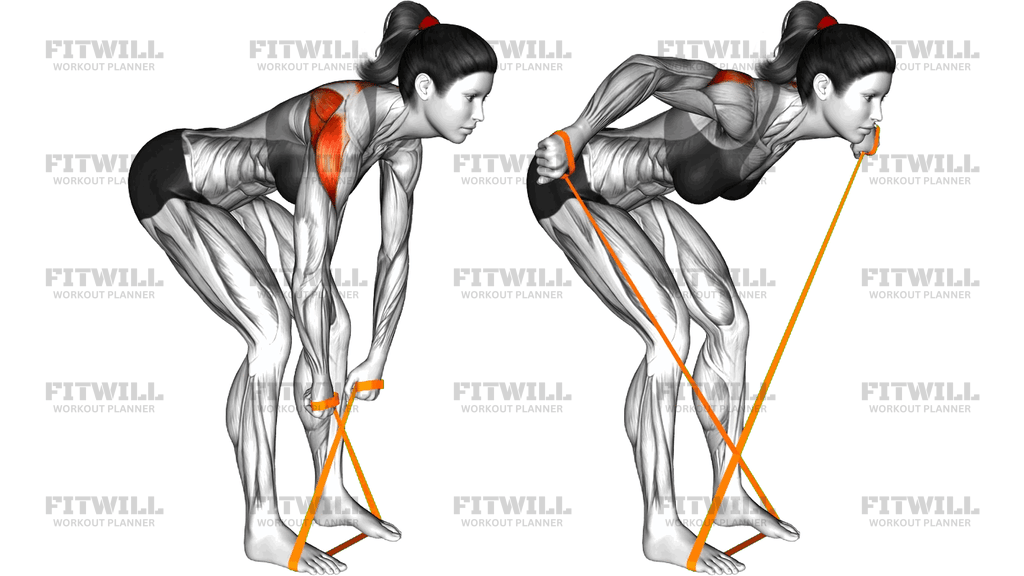 Resistance Band Bent Over Reverse Fly
