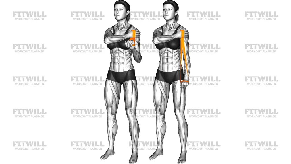 Resistance Band Single Arm Triceps Pushdown