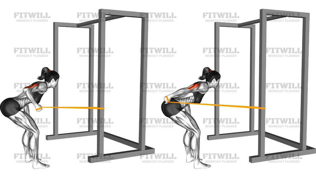 Resistance Band Bent Over Single Arm Triceps Kickb