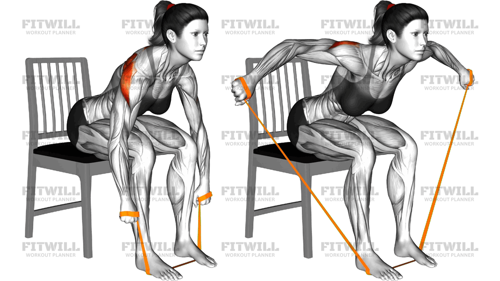 Resistance Band Sitting Bent Over Reverse Fly On A