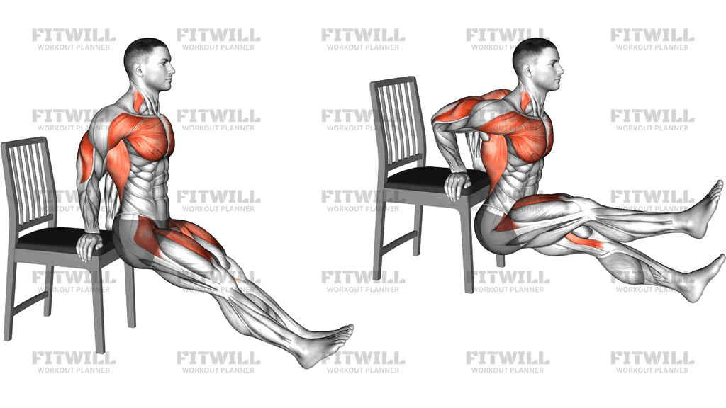 Sitting Dip And Leg Raise On A Chair