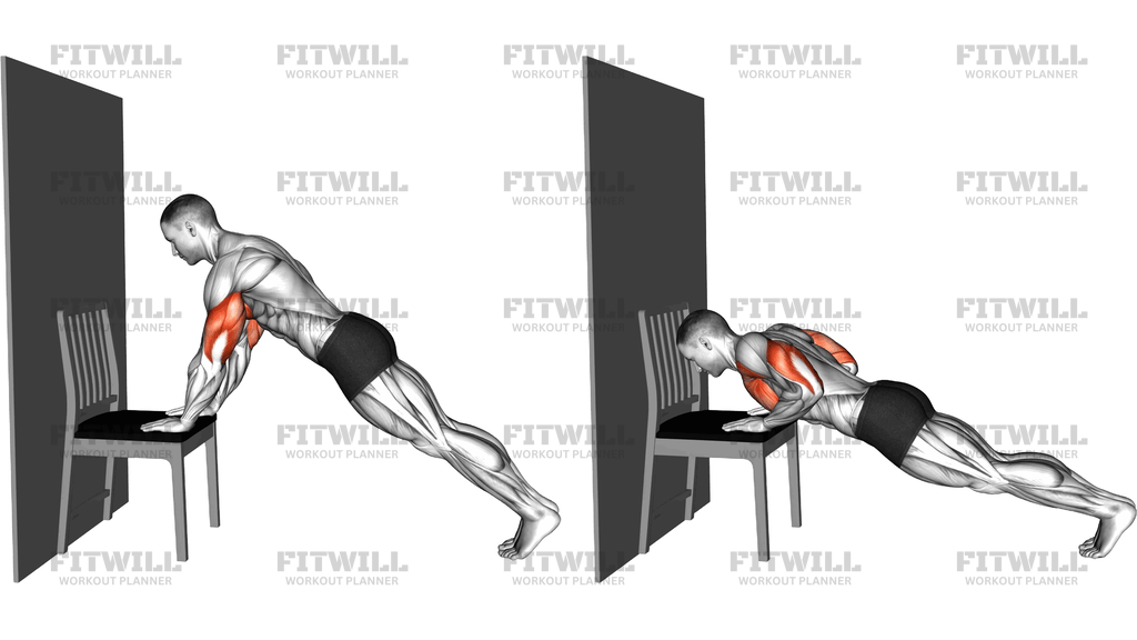 Push Up On A Chair (Version 2)