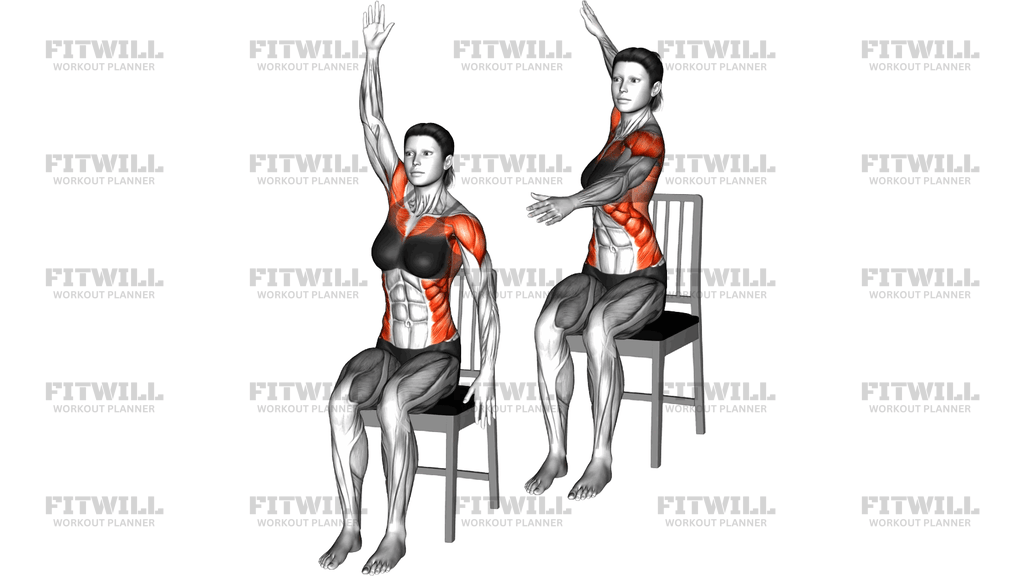 Sitting Swimmer On A Chair