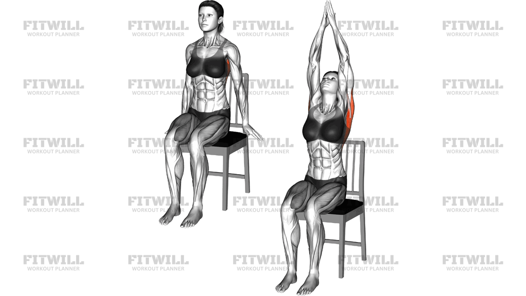 Sitting Shoulder Stretch On A Chair
