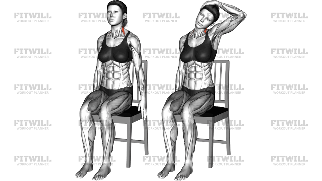 Sitting Side Neck Stretch On A Chair
