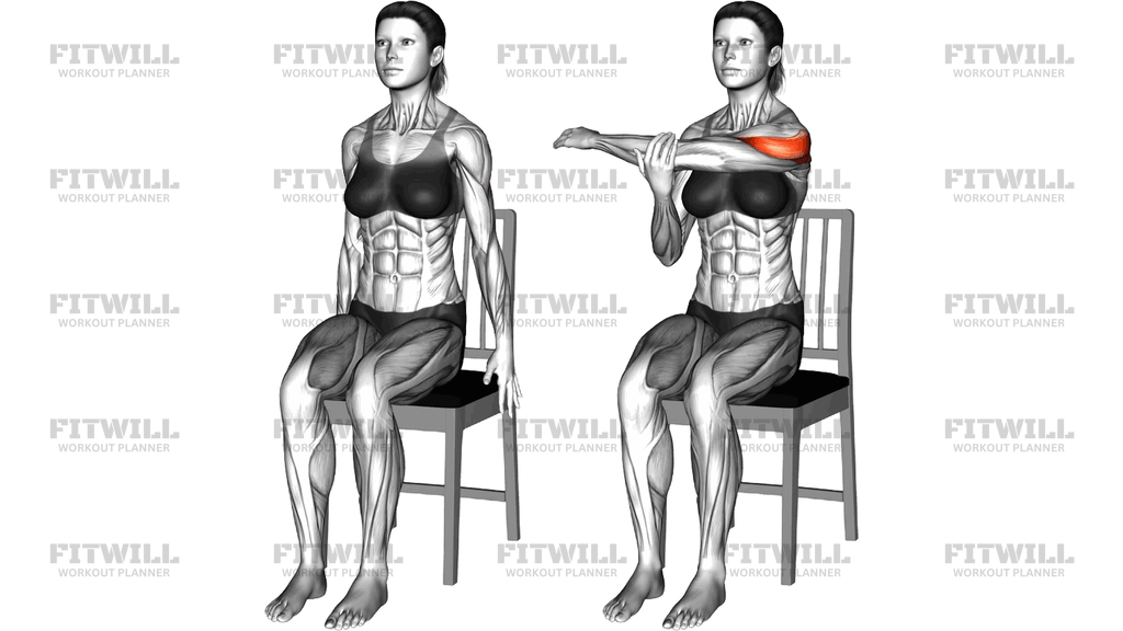 Sitting Delts Stretch On A Chair