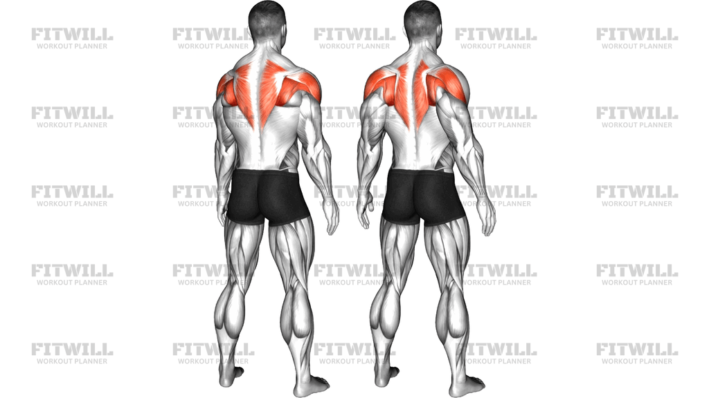 Standing Scapular Press