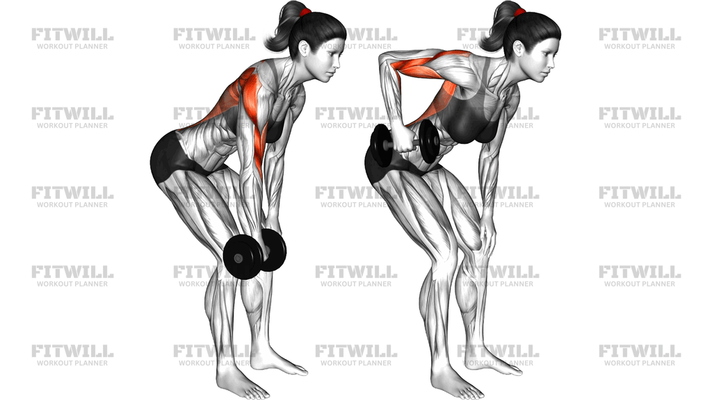 Dumbbell Bent Over Single Arm Row