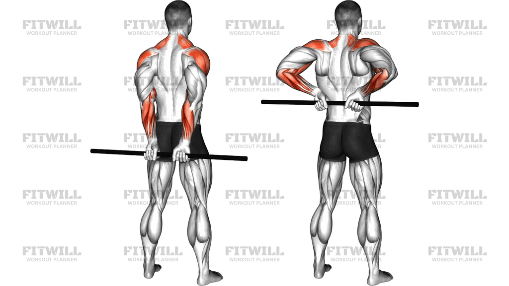 Stick Standing Rear Delt Raise