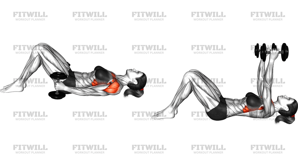 Dumbbell Lying Front Raise