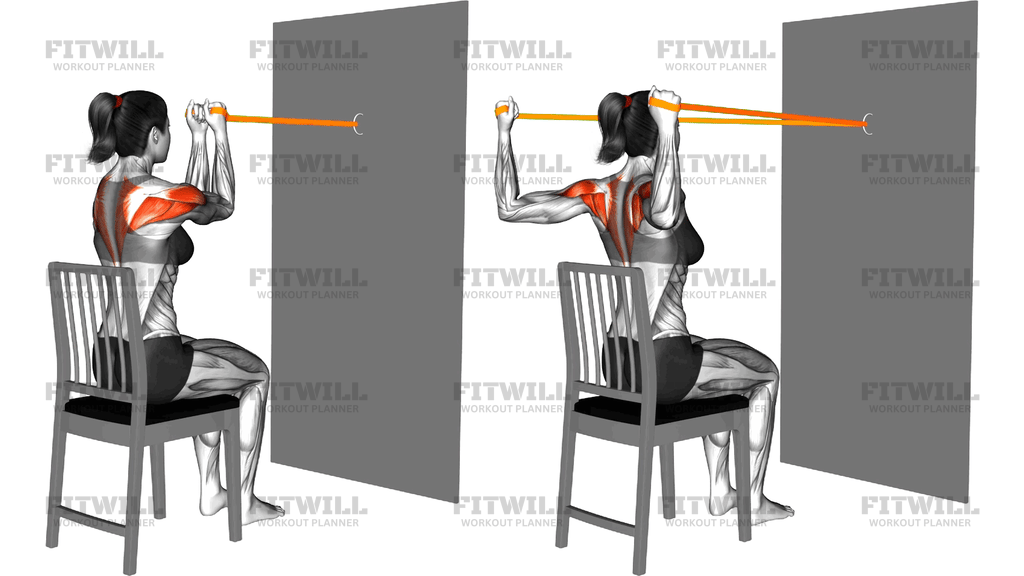 Resistance Band Sitting Reverse Butterfly On A Cha