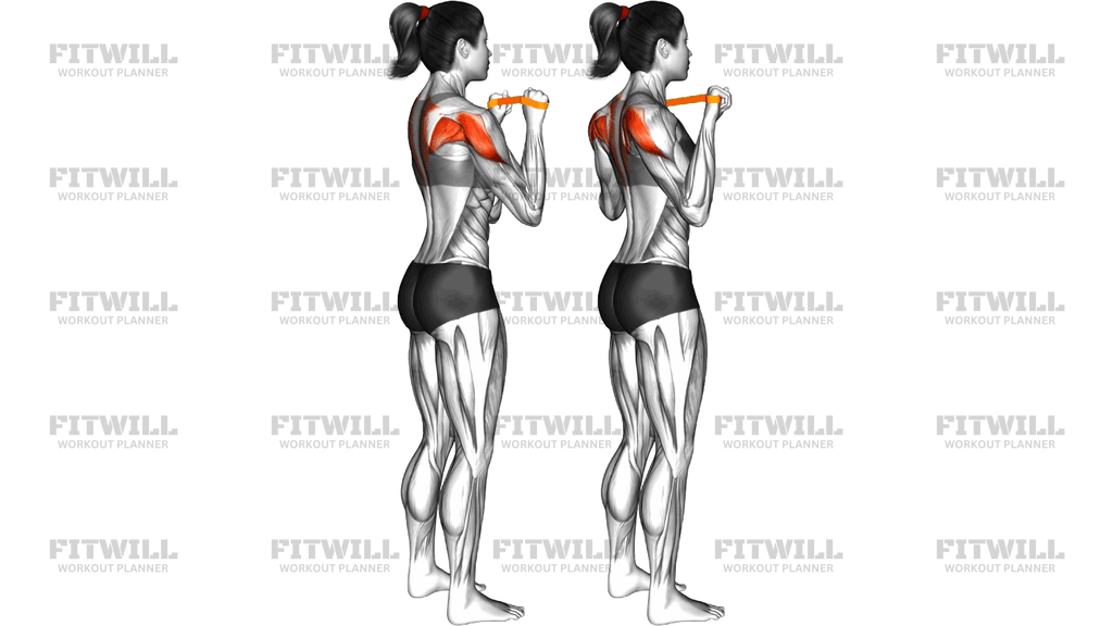 Resistance Band Standing Trapezius Press