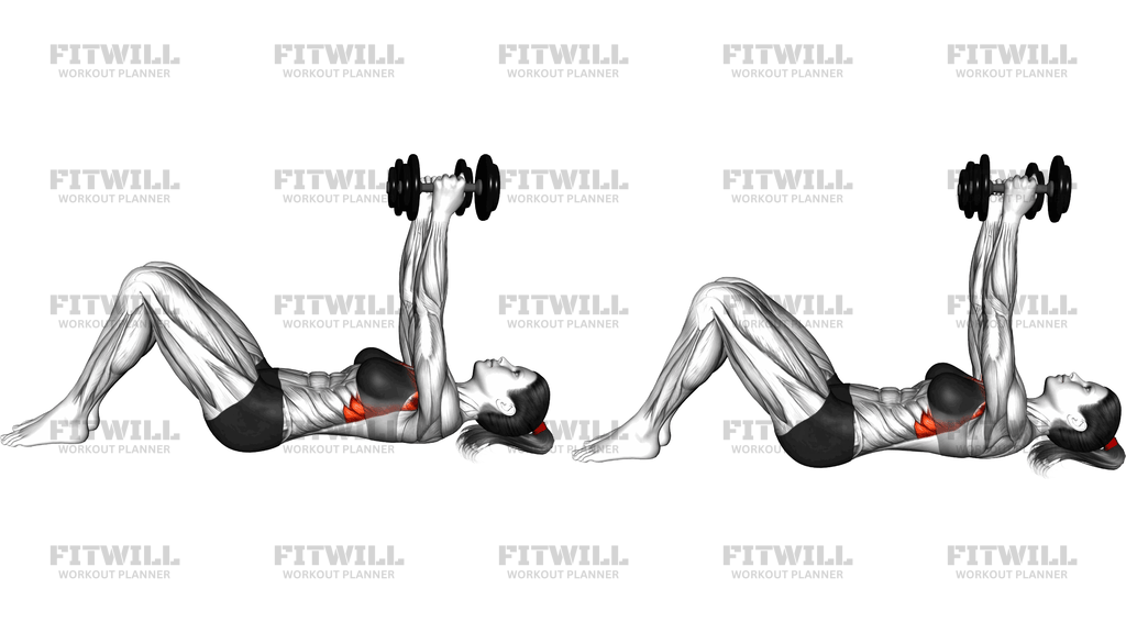 Dumbbell Lying Straight Arm Press On Floor