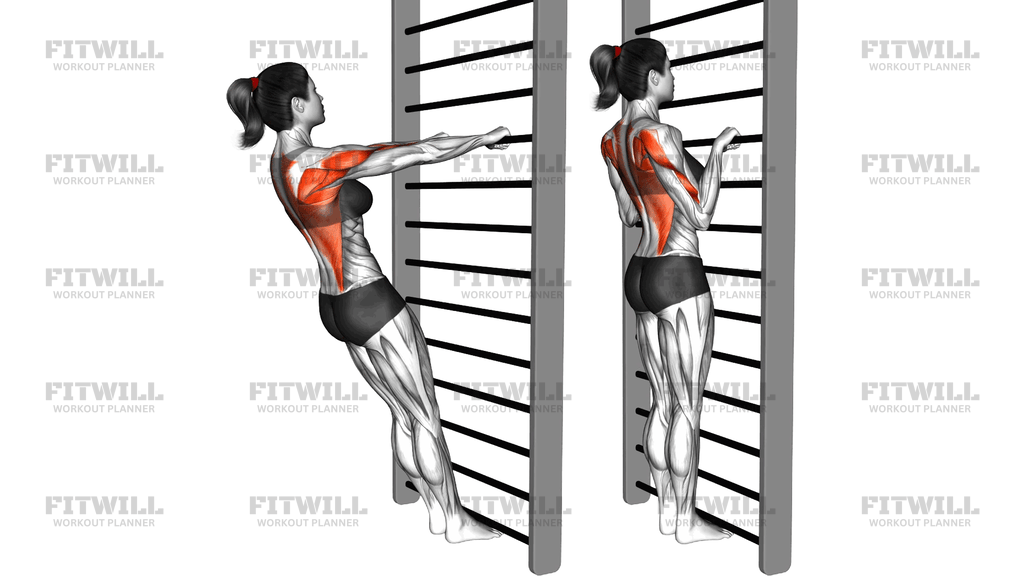 Standing Pronated Grip Inverted Row